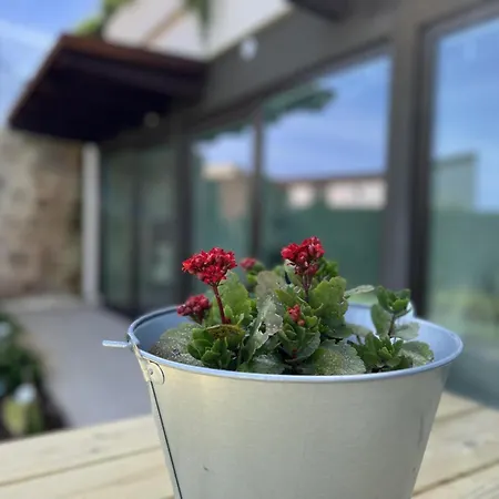 La Casa De Hadas *